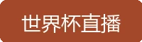 世界杯直播